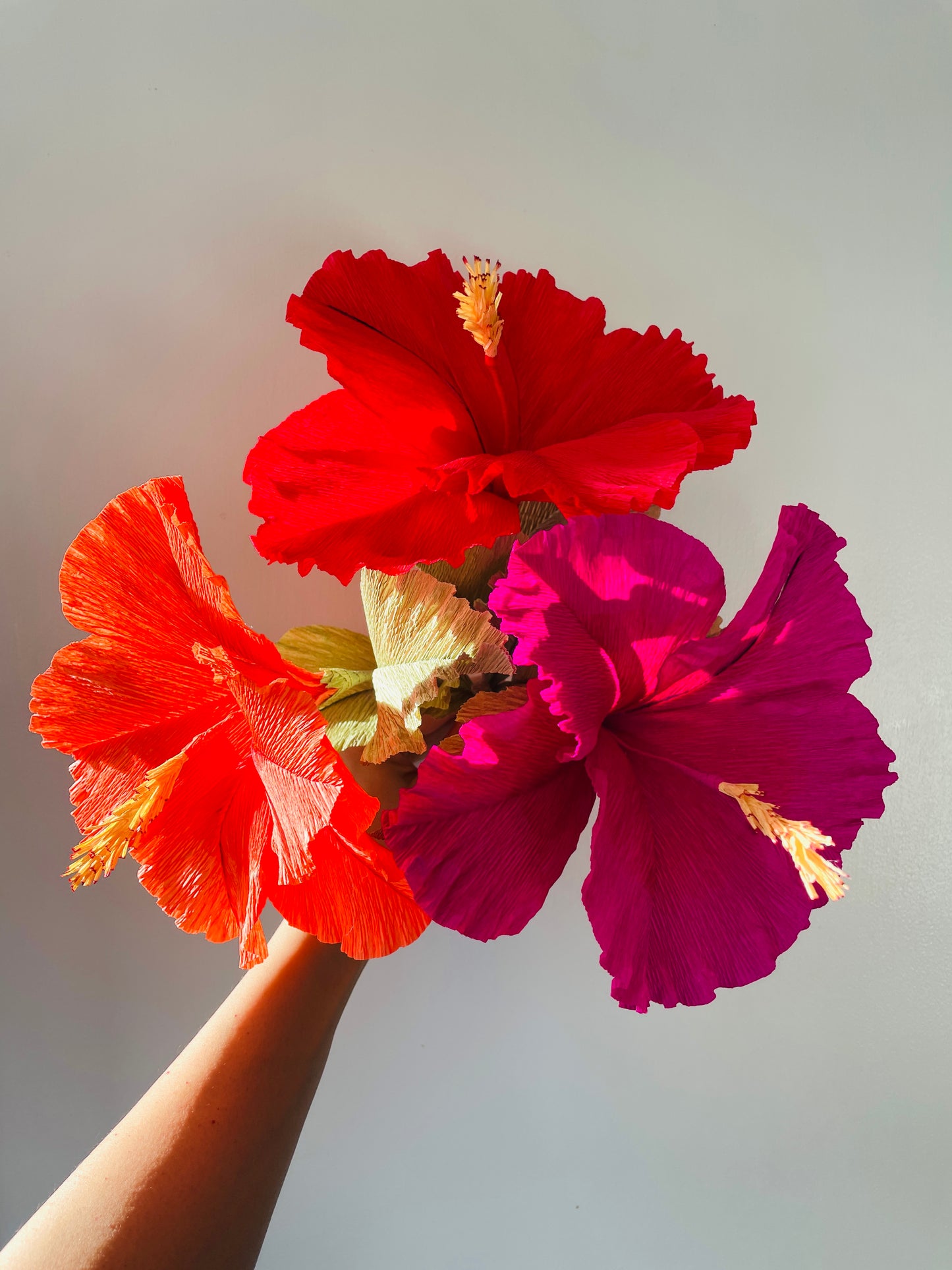 Crepe Paper Hibiscus Workshop