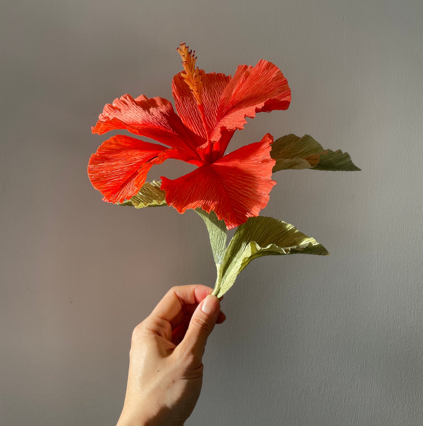 Crepe Paper Hibiscus Workshop