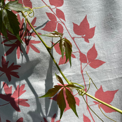 Wearable Garden: Screenprinting With Plants